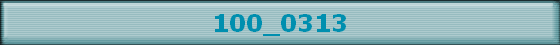 100_0313