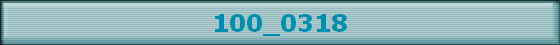 100_0318