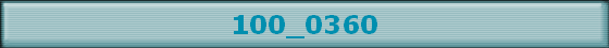 100_0360