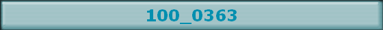100_0363