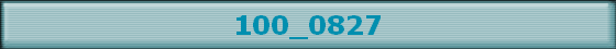 100_0827