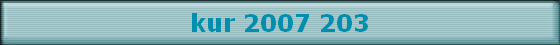 kur 2007 203