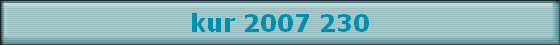 kur 2007 230